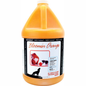 WA Bloomin Orange Shampoo Gallon