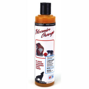 WA Blooming Orange Shampoo 11oz