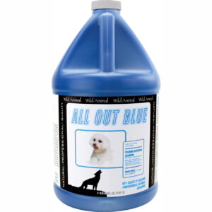 WA All Out Blue Shampoo Gallon