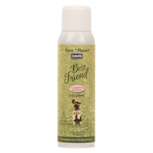 Davis Flowering Bamboo Cologne 14oz