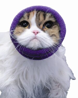 Happy Hoodie X-Small PPL