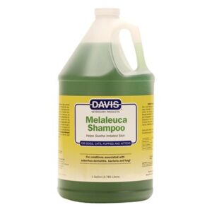Davis Melaleuca Shampoo Gallon